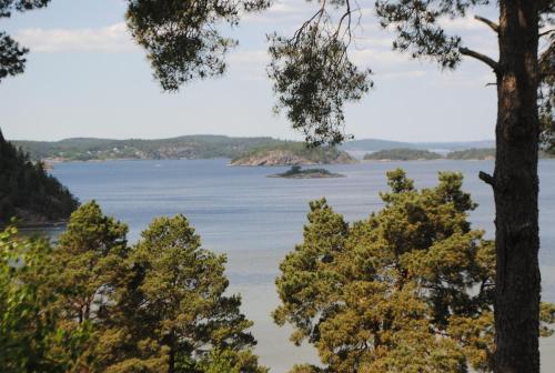 Anfasteröd Gårdsvik - Örnnästet i Ljungskile — hotellfoto