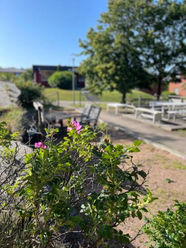 Fjord Hostel Rooms i Lysekil — hotellfoto