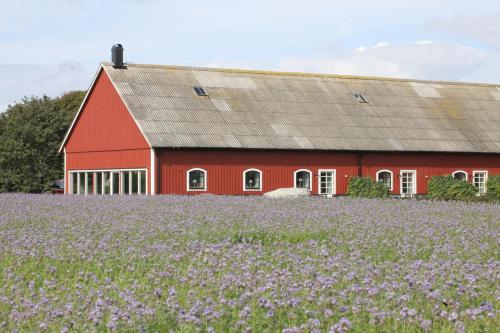 Ramsjögård Hotell i Båstad — hotellfoto
