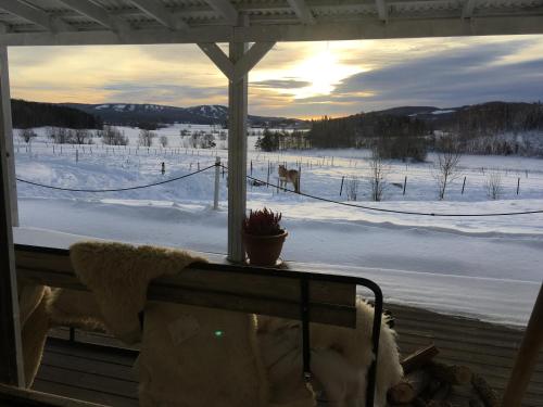 Utsikten i Borlänge — hotellfoto